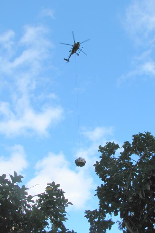 Helicopter_Drop_2.JPG